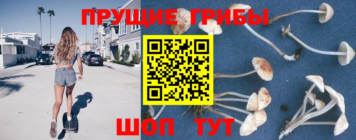 Галлюциногенные грибы GOLDEN TEACHER  Вход с VPN  Михайловка 
